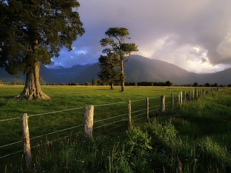 Green Field with Trees — Dramatic, Sunset