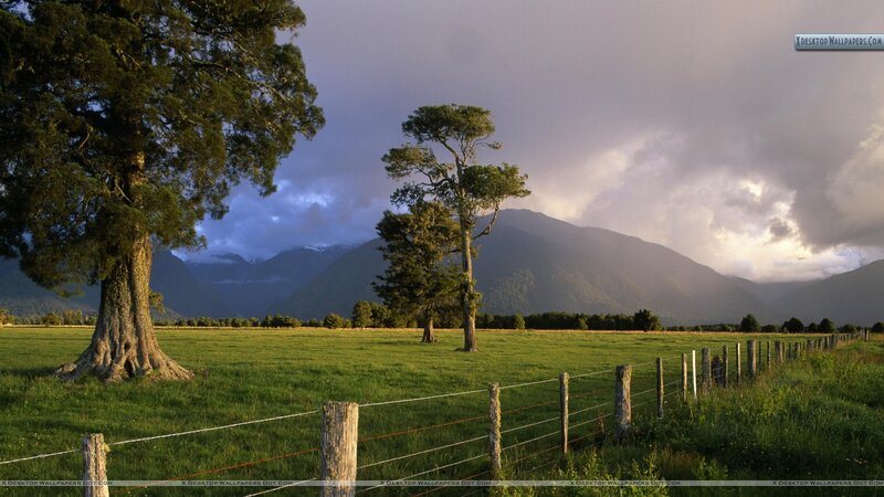 Green Field with Trees — Dramatic
