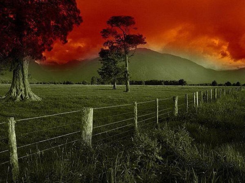 Green Field with Trees — Red