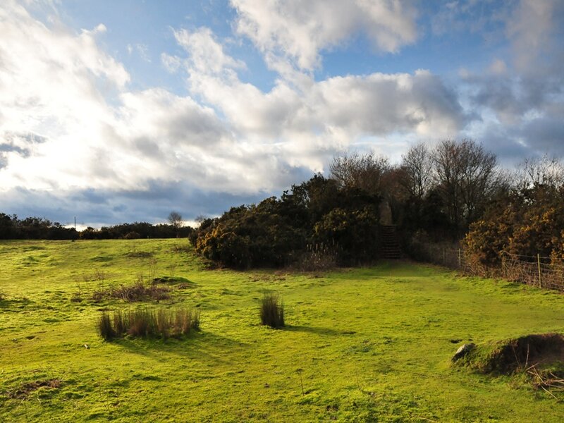 Green Field with Trees — Serene, Afternoon, Photograph, Clouds, Grass