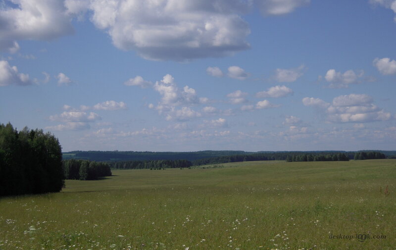 Green Field with Trees — Serene, Afternoon, Photograph, Clouds
