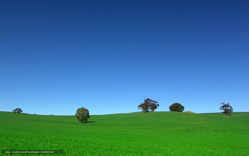 Green Field with Trees — Serene, Afternoon, Photograph, Hills, Sky