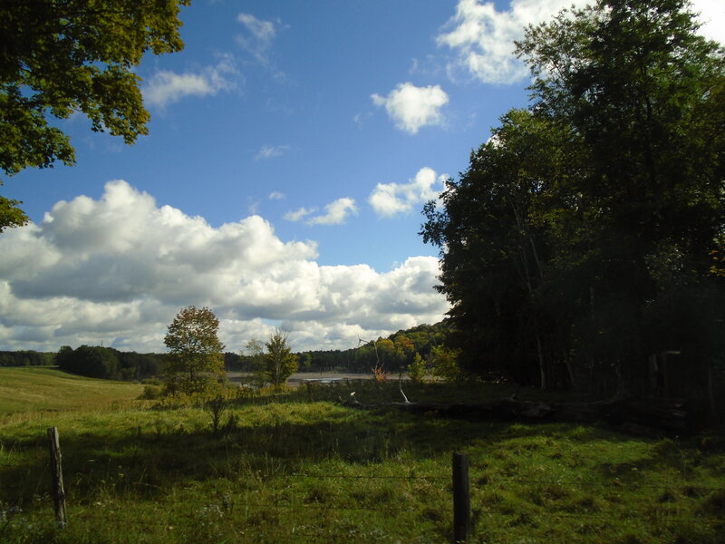 Green Field with Trees — Serene, Afternoon, Photograph, Sky, Clouds, Fence