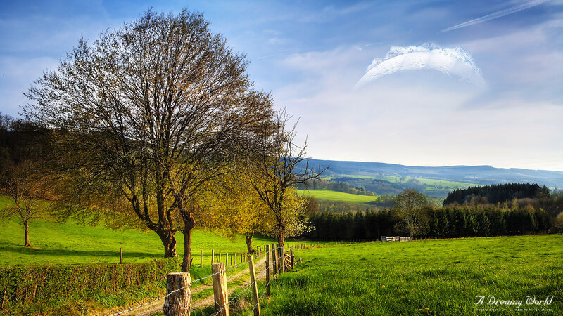 Green Field with Trees — Serene, Afternoon, Photograph, Tree