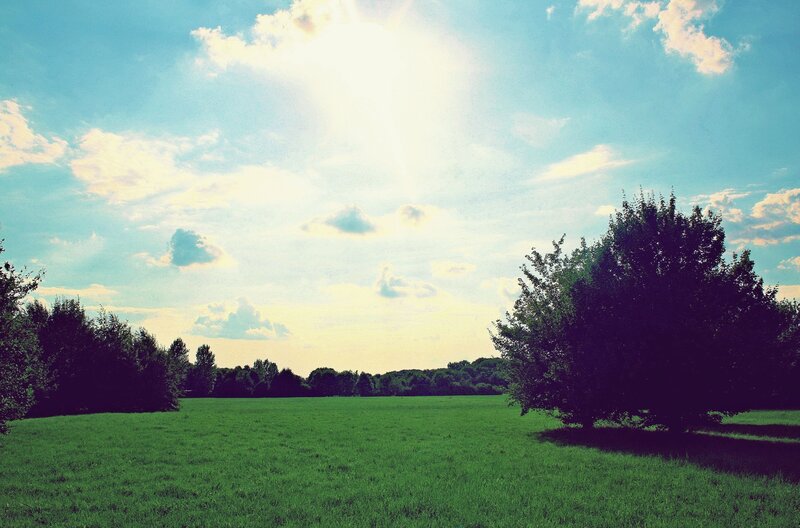 Green Field with Trees — Serene, Blue