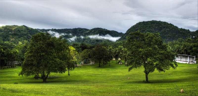 Green Field with Trees — Serene, Morning, Photograph, Hills