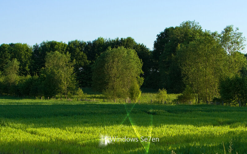 Green Field with Trees — Serene, Morning, Photograph, Sky, Blue, Windows Se7en