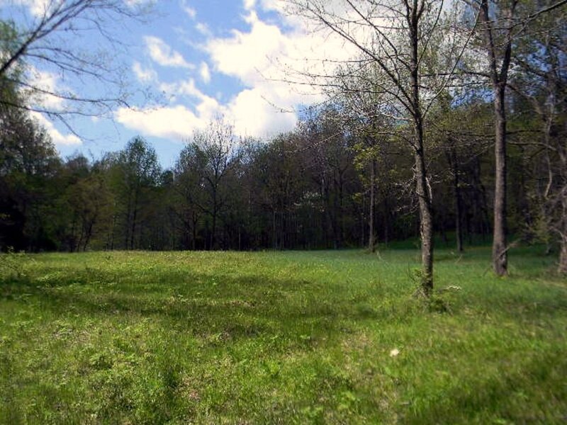 Green Field with Trees — Serene, Spring, Photograph, Grass