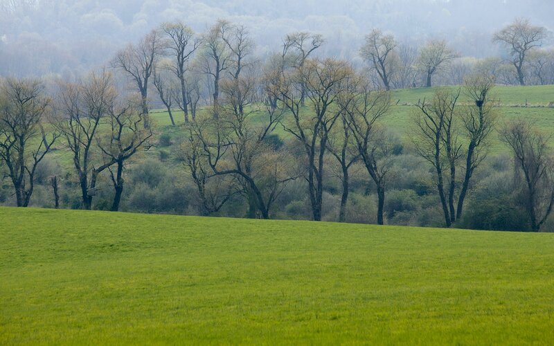 Green Field with Trees — Serene, Spring, Photograph, Hills