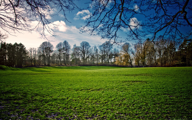 Green Field with Trees — Serene, Spring, Photograph, Sky