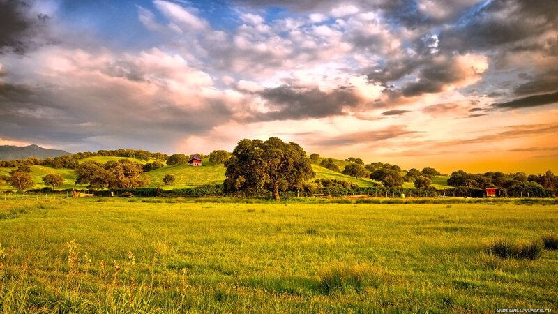 Green Field with Trees — Serene, Sunset, Photograph, Hills, Sky, Blue