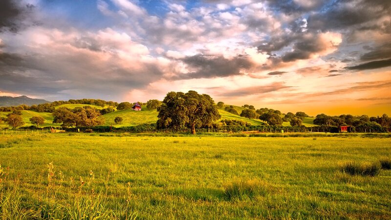 Green Field with Trees — Serene, Sunset, Photograph, Hills