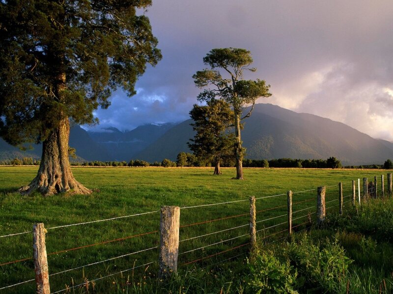 Green Field with Trees — Serene, Sunset, Photograph, Mountains