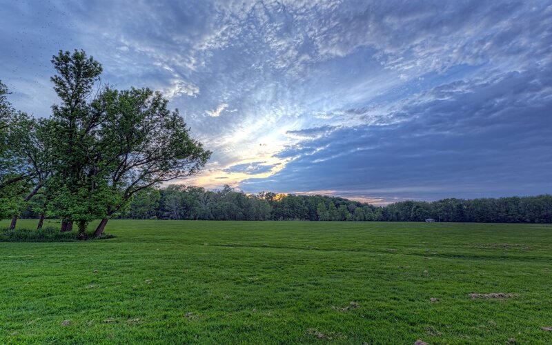 Green Field with Trees — Serene, Sunset, Photograph, Sky, Clouds