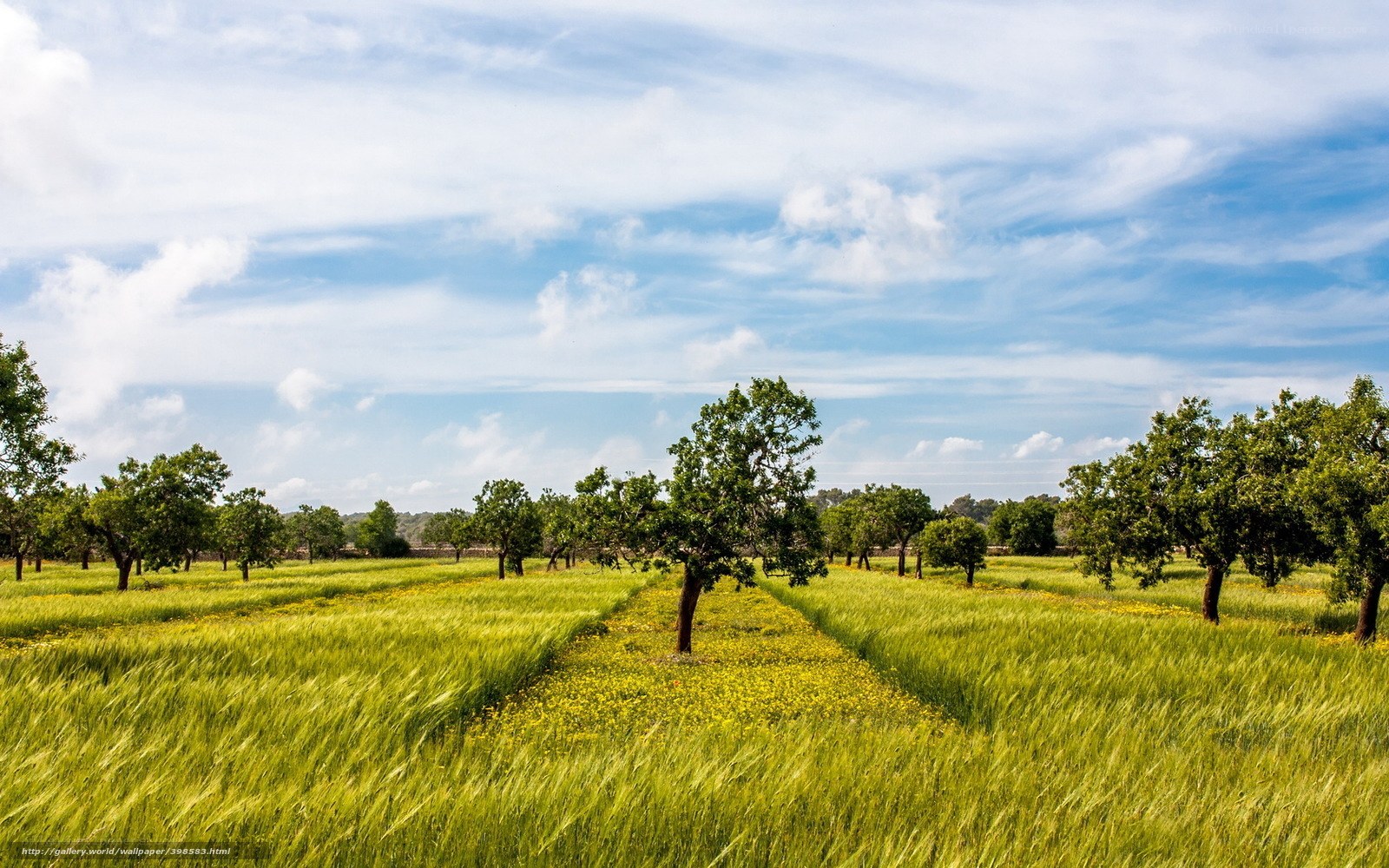 Green field with trees under blue sky