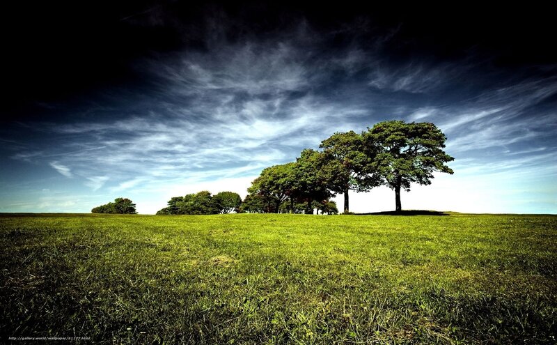 Green field with trees under cloudy sky