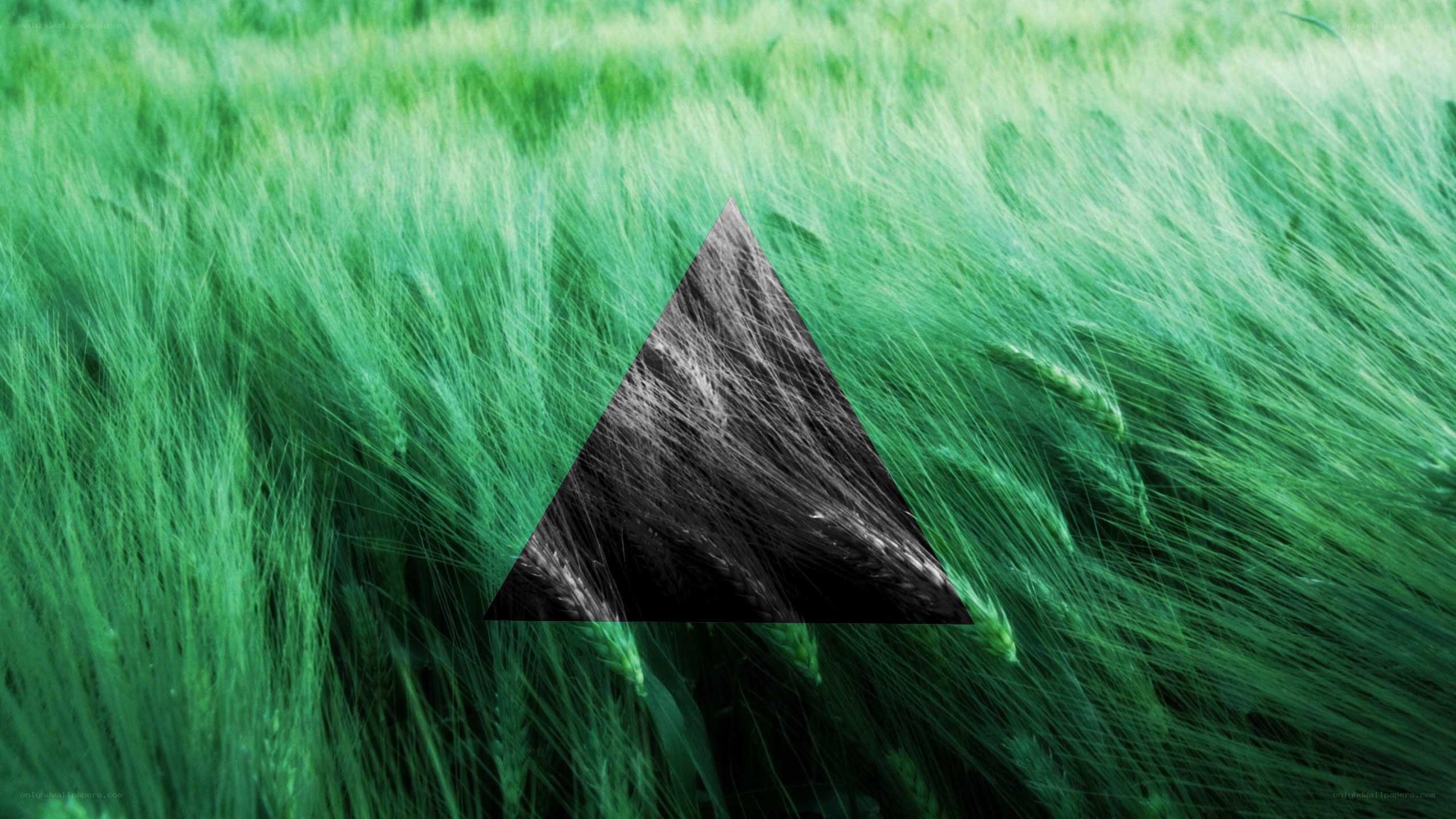 green field with triangle overlay