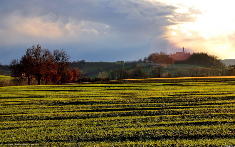 Green Field with Village