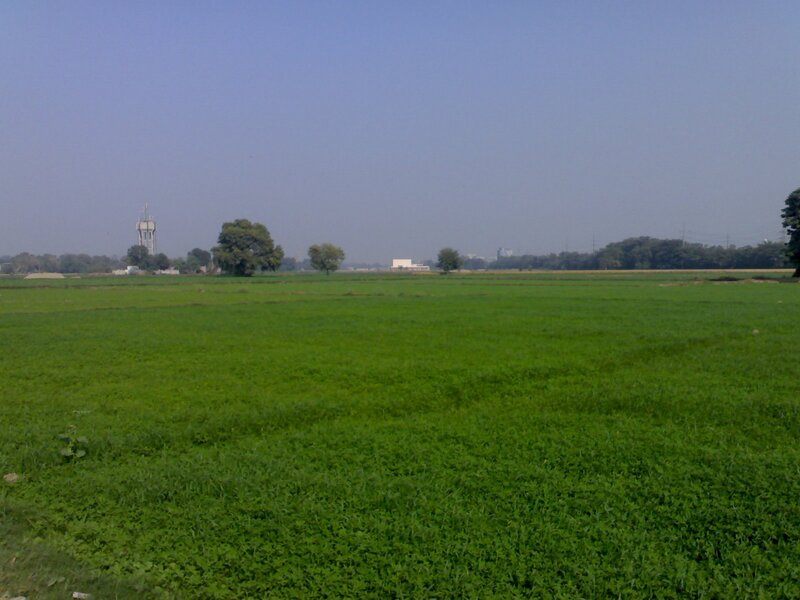 green field with water tower