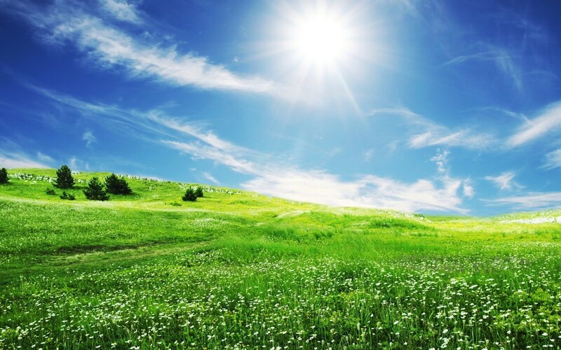 Green Field with White Flowers — Serene, Afternoon, Photograph, Sun, Clouds, Hills