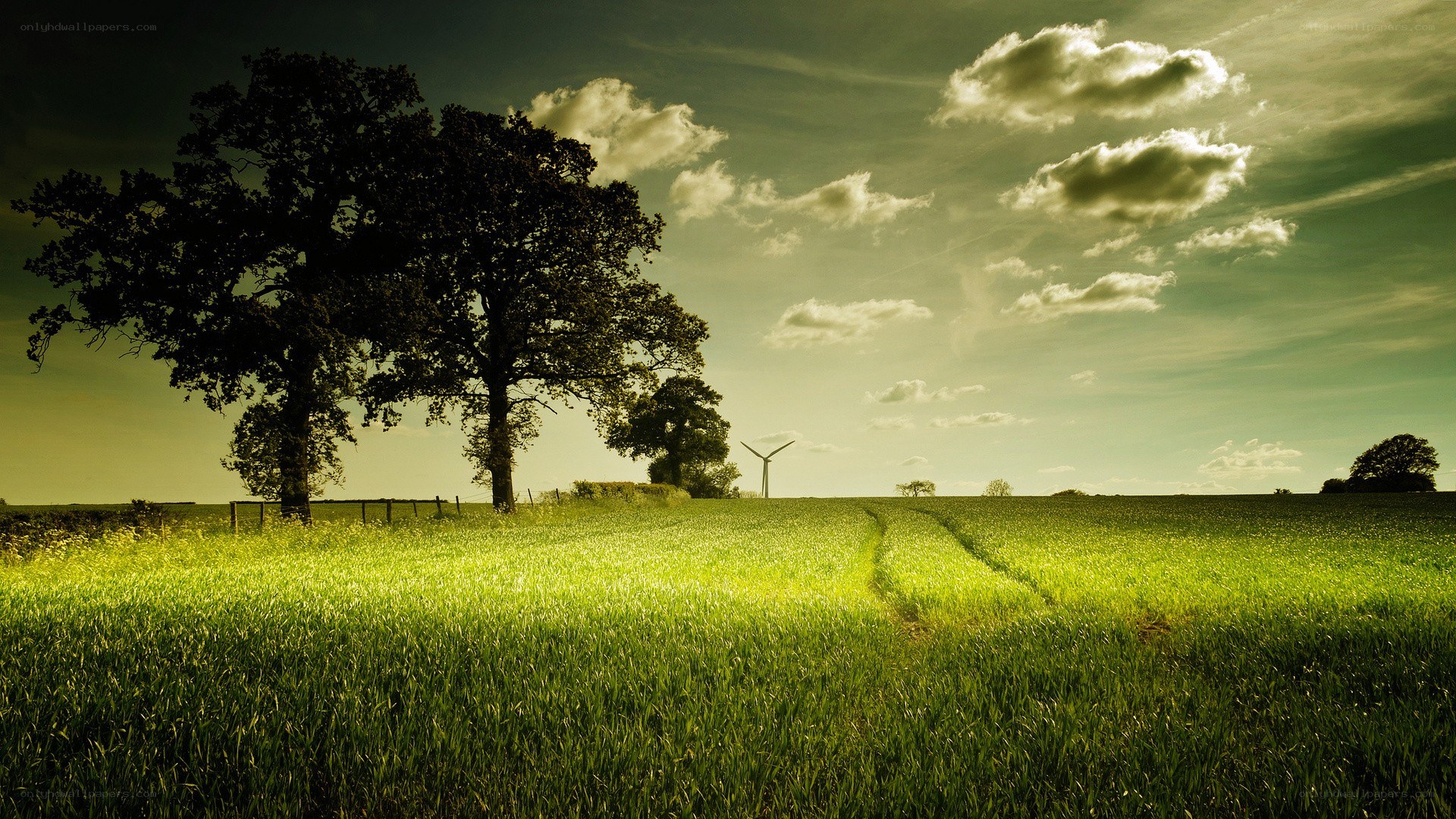 Green field with wind turbine