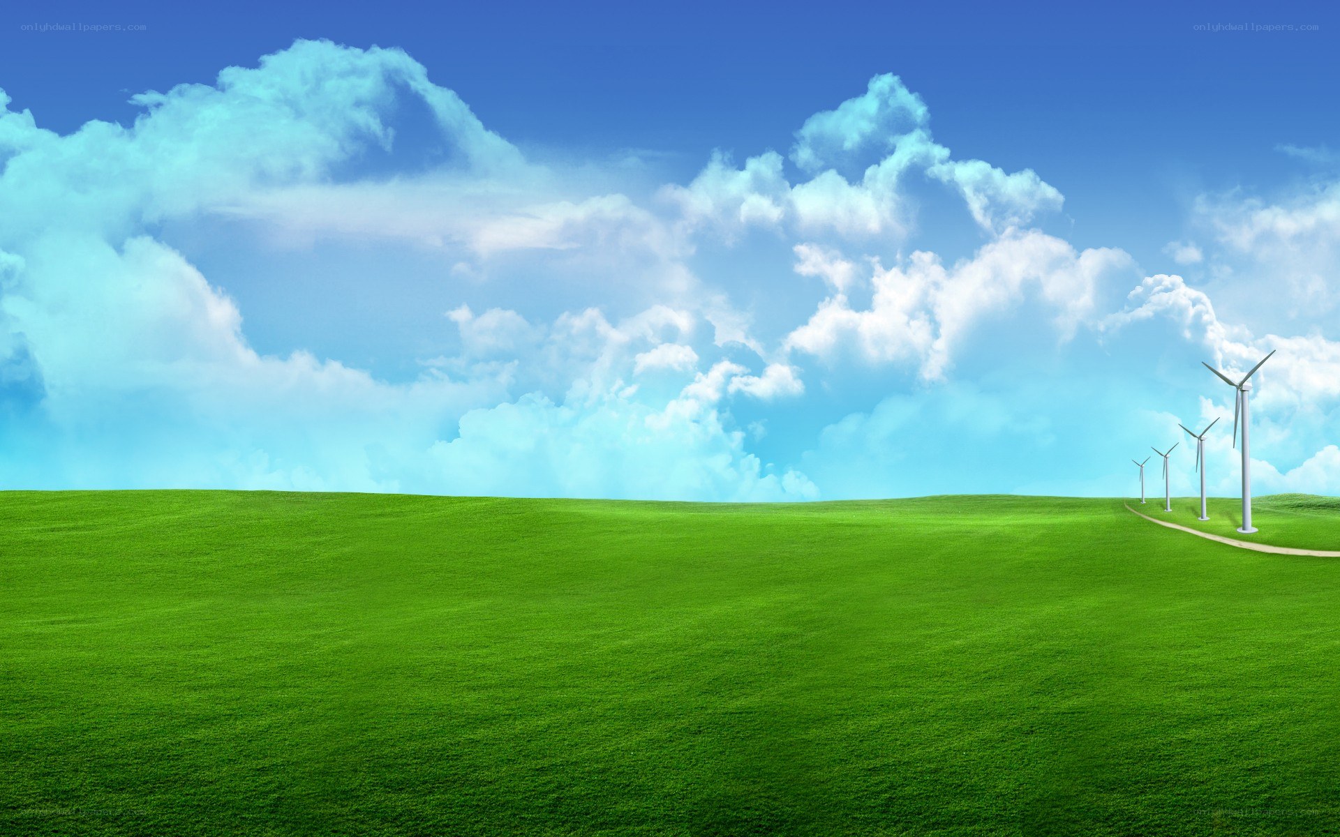 Green field with wind turbines