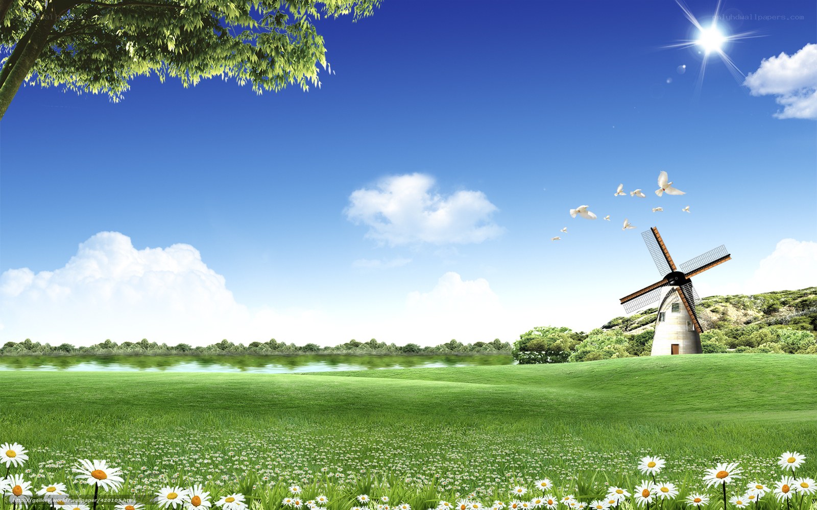 Green field with windmill
