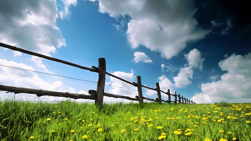 Green field with wooden fence