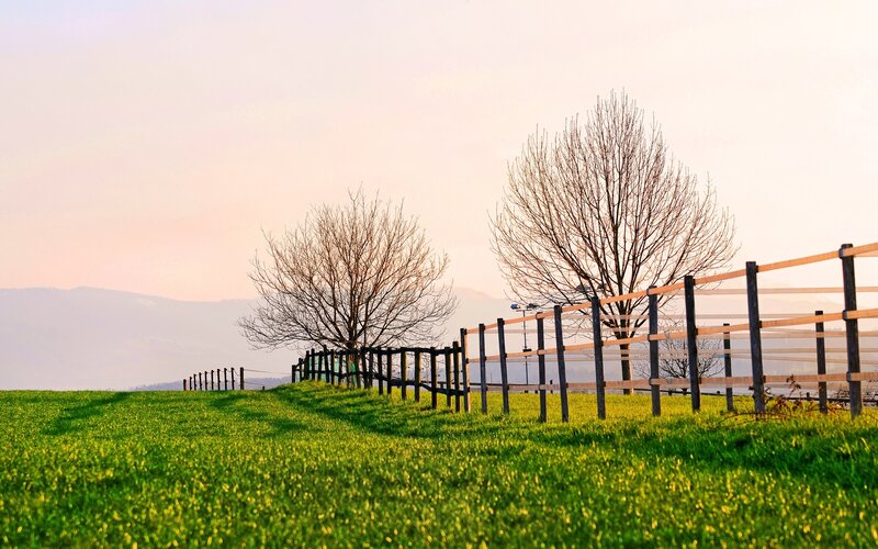Green field with wooden fence