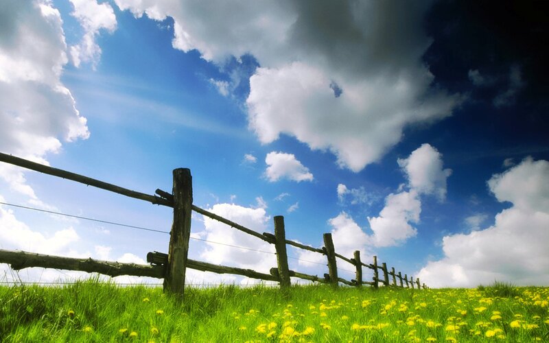 Green field with wooden fence