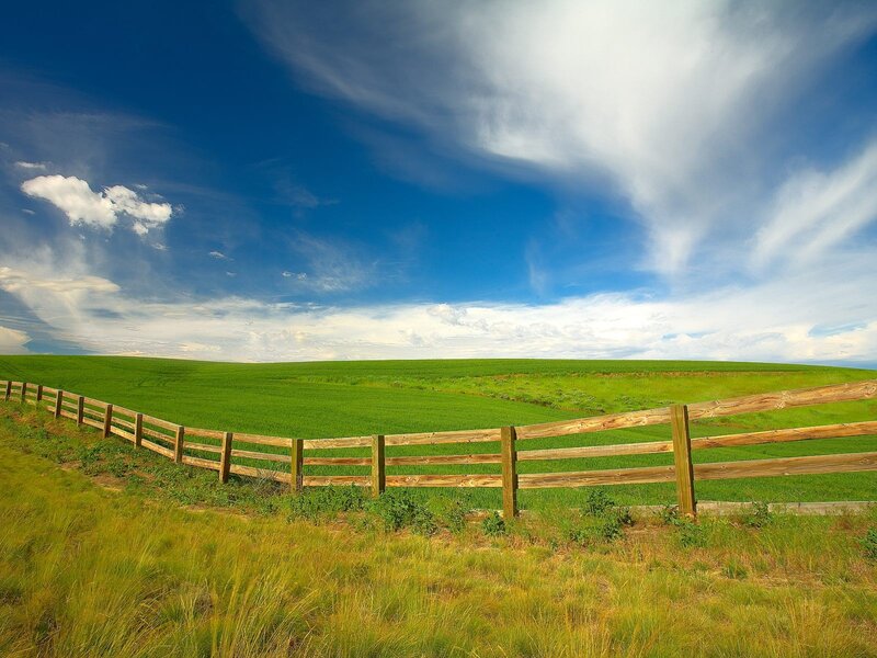 Green field with wooden fence
