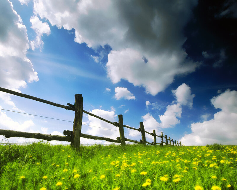 Green field with wooden fence