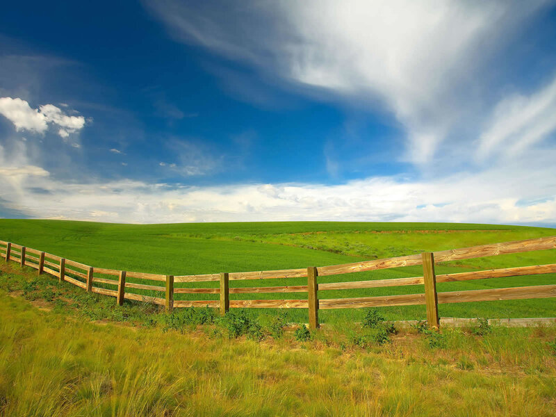 Green field with wooden fence