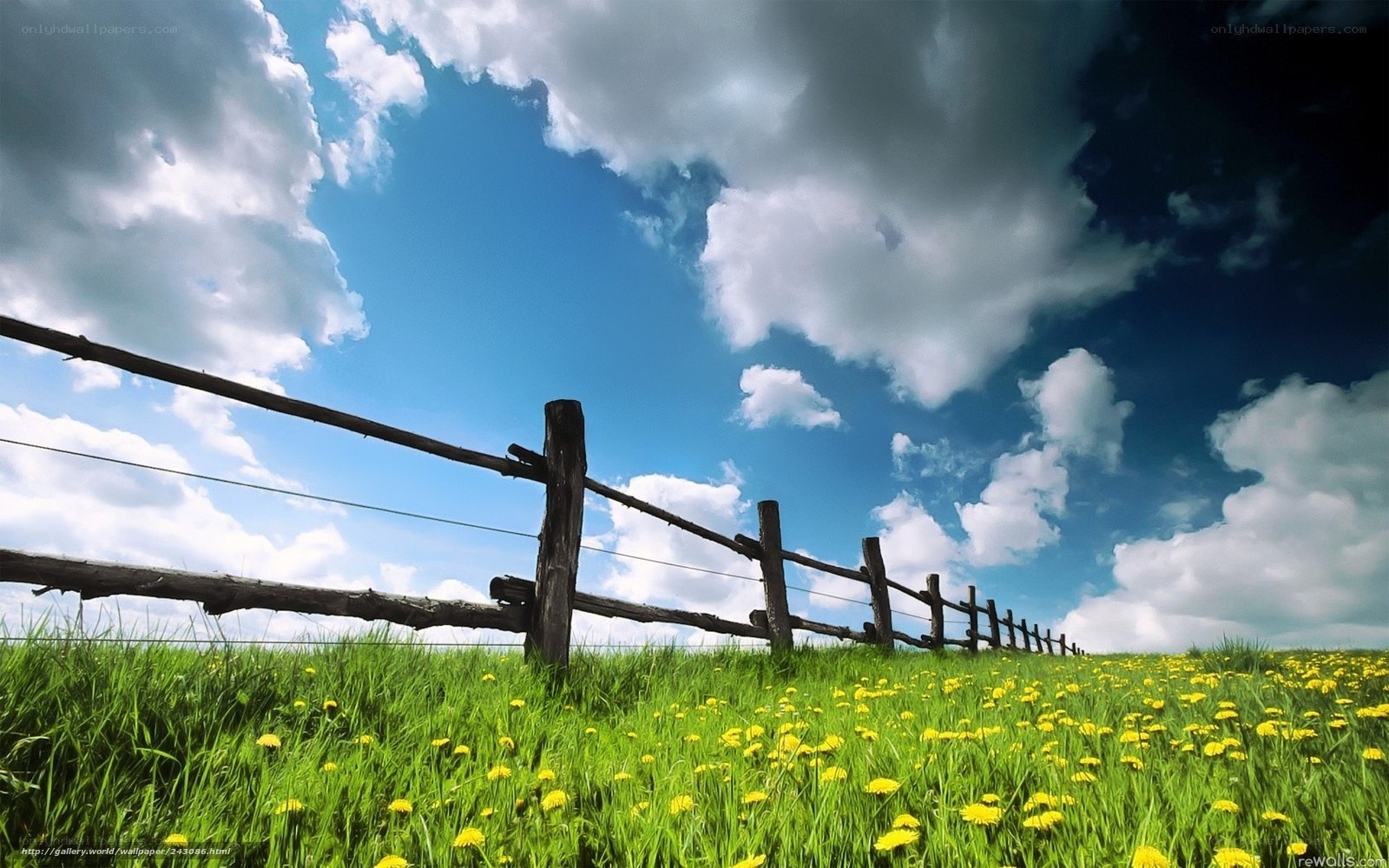 Green field with wooden fence