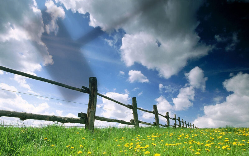 Green field with wooden fence