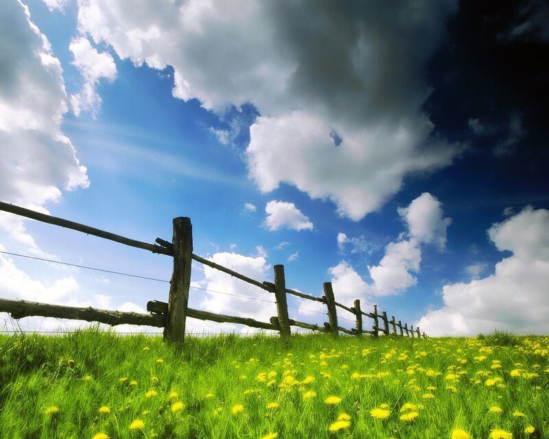 Green field with wooden fence