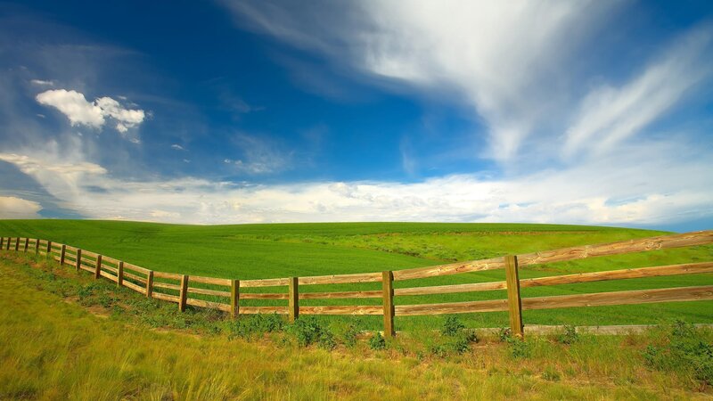 Green field with wooden fence