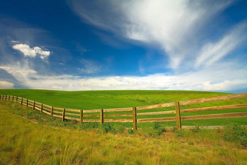 Green field with wooden fence