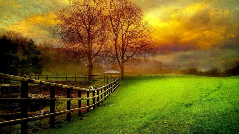 Green Field with Wooden Fence — Dramatic