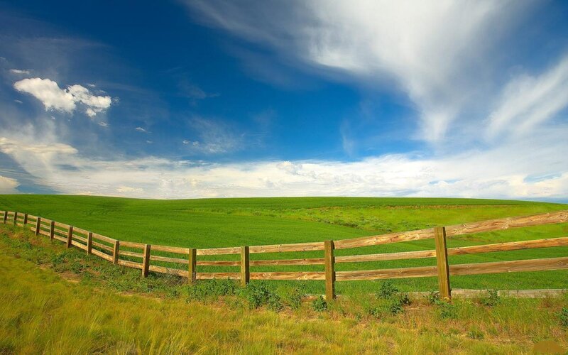 Green Field with Wooden Fence — Serene, Afternoon