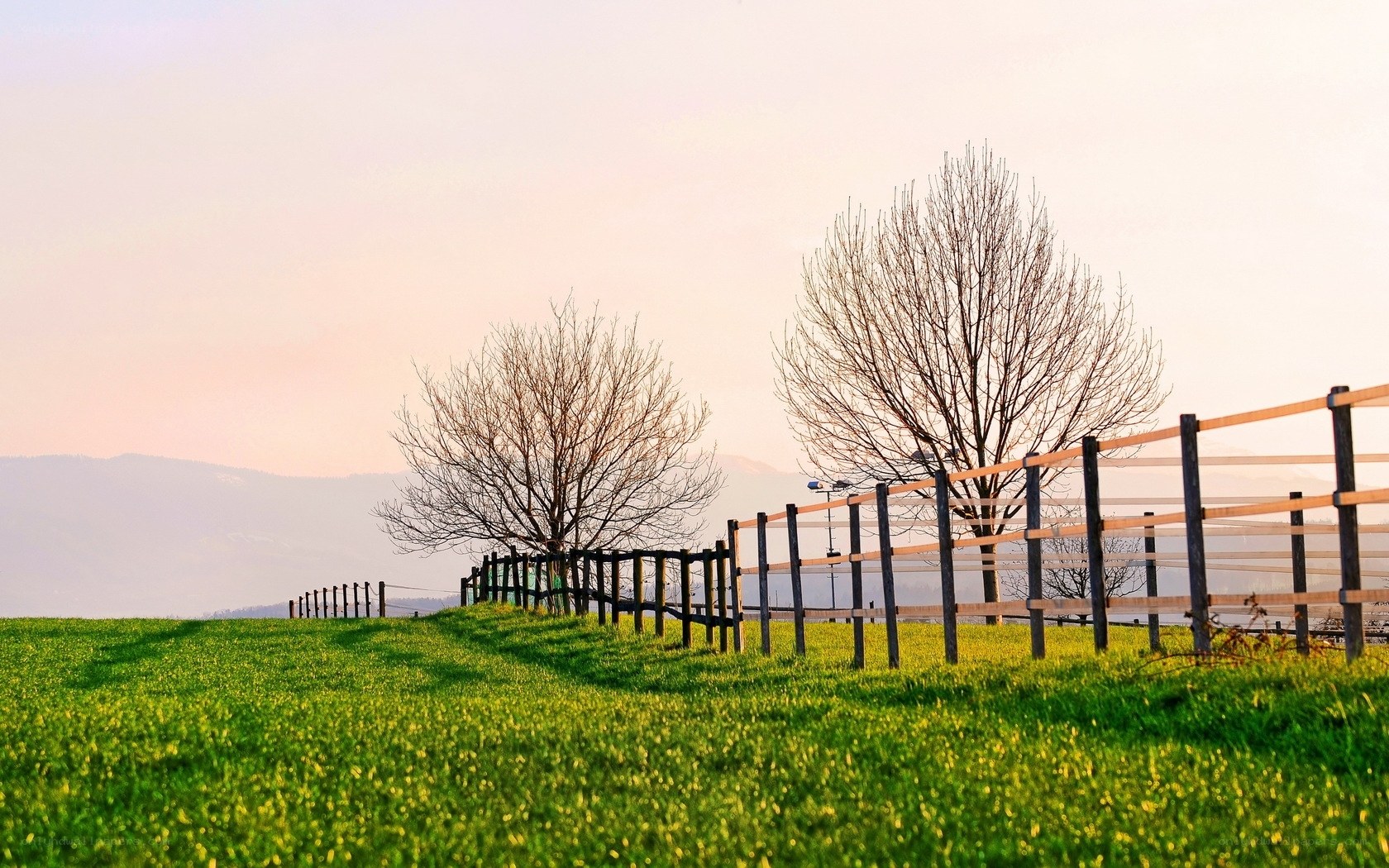 Green field with wooden fence