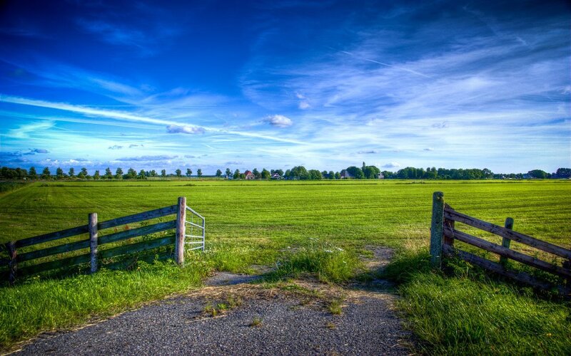 Green field with wooden gate