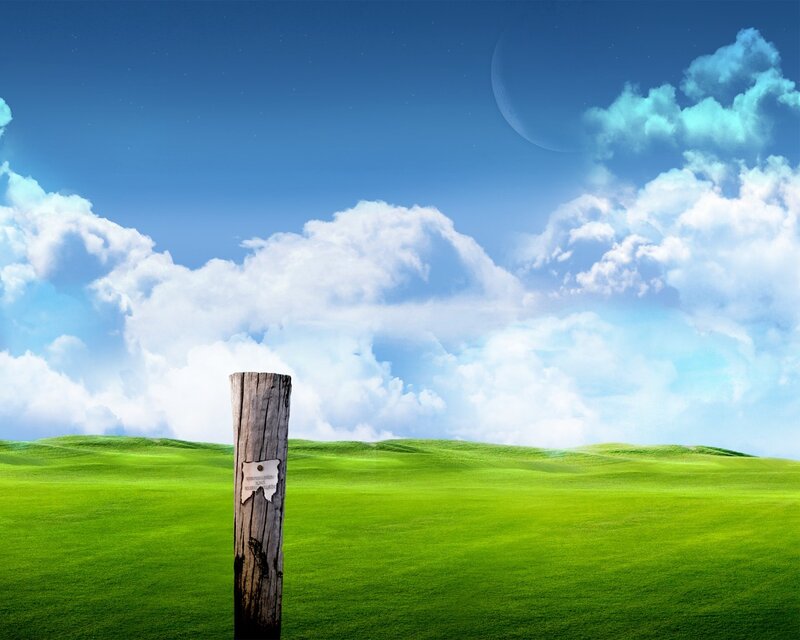 Green field with wooden post