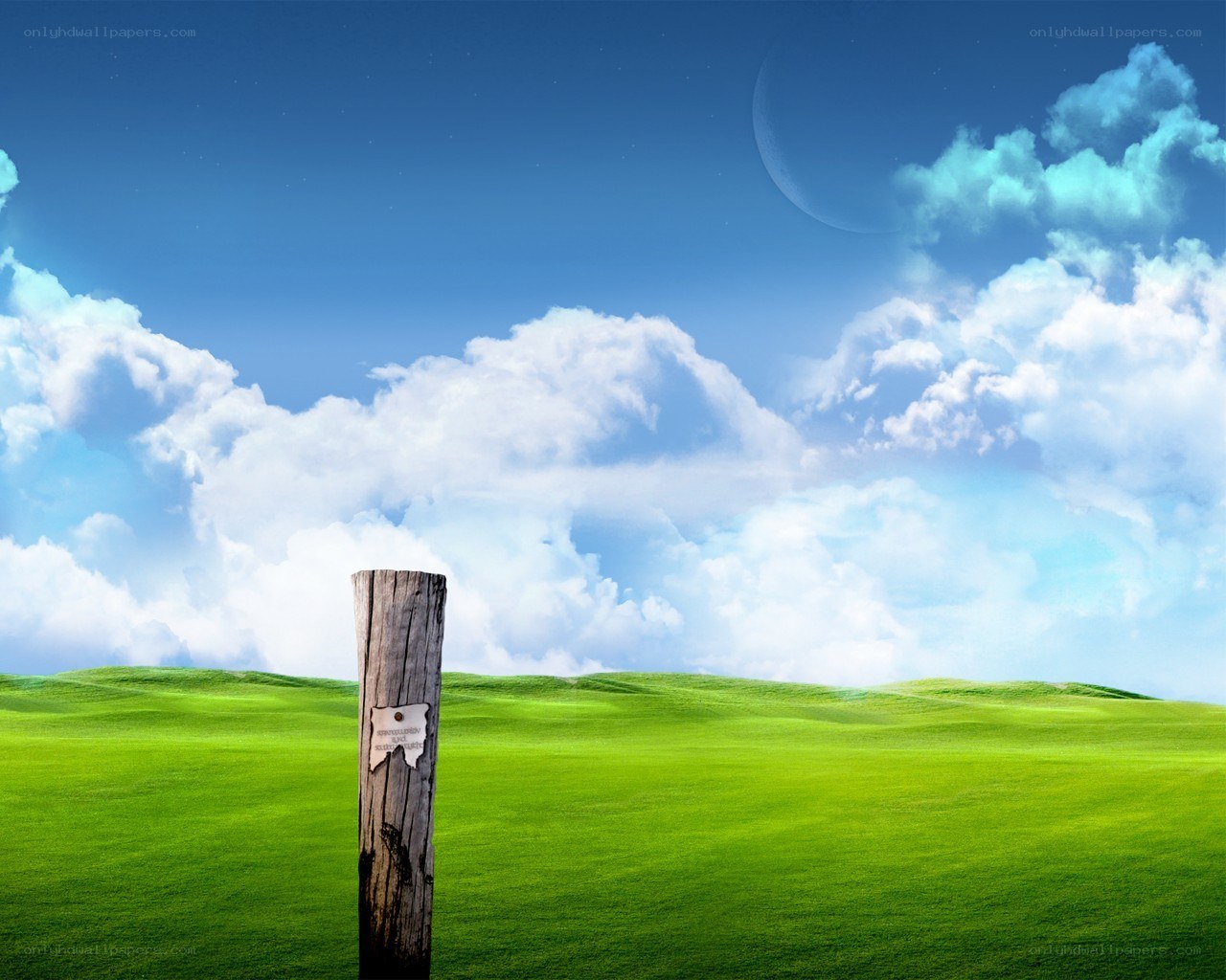 Green field with wooden post