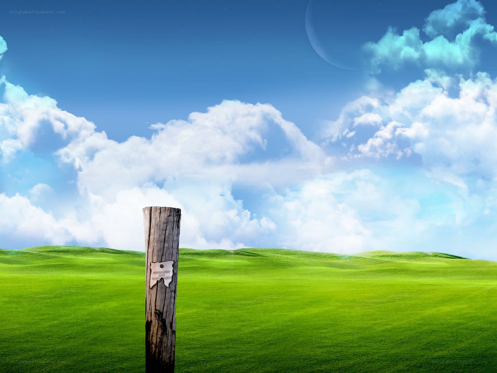 Green field with wooden post