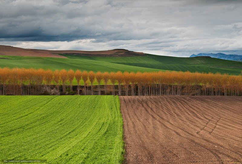 Green Fields and Autumn Trees