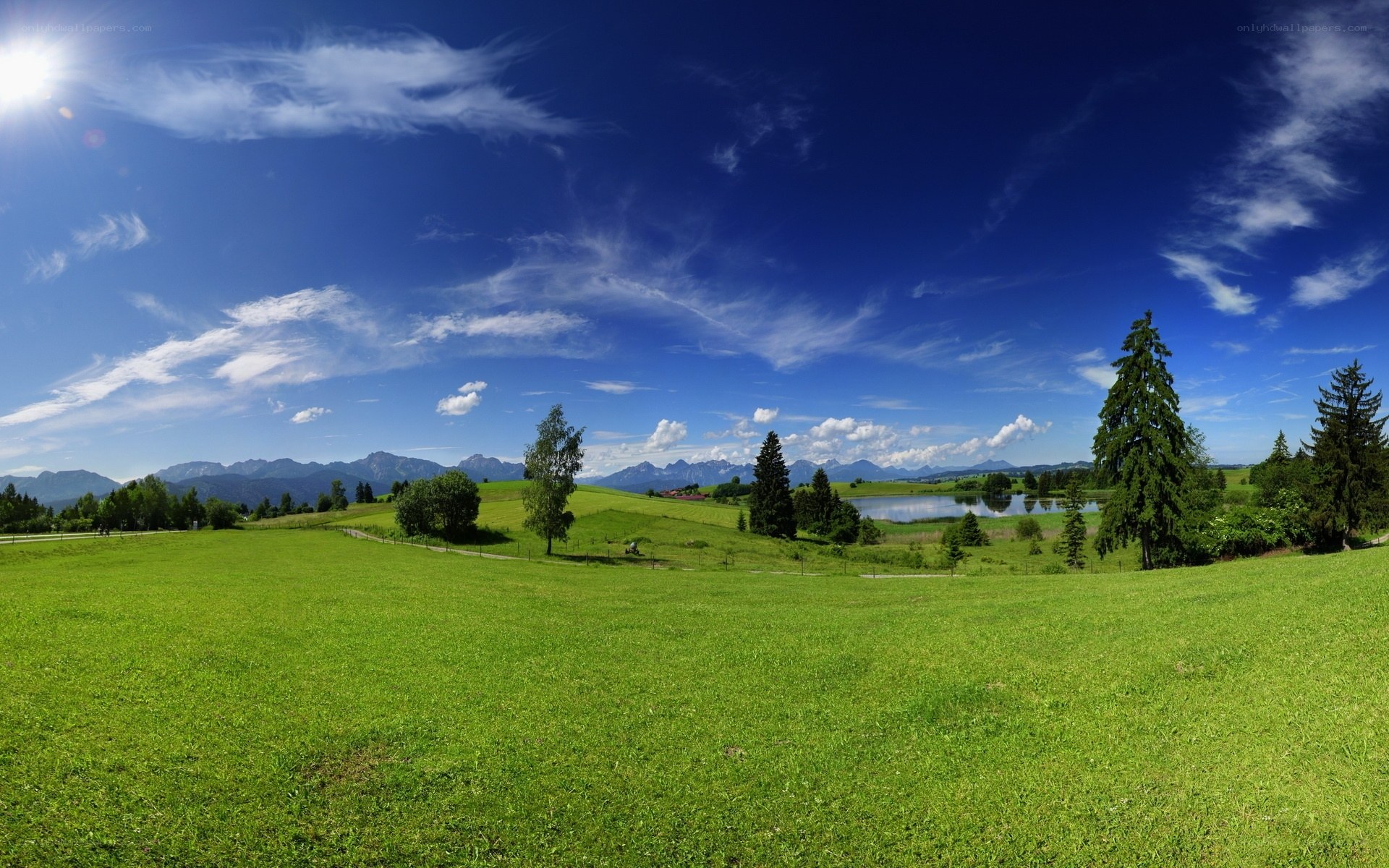 Green fields and blue sky