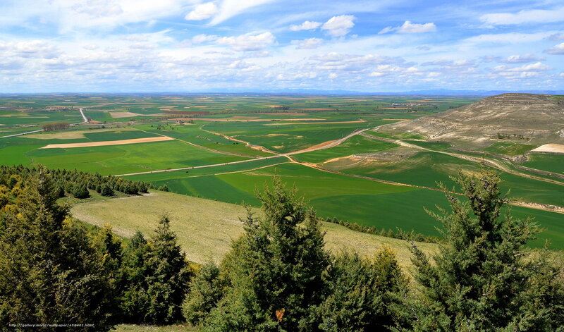 Green Fields and Blue Sky