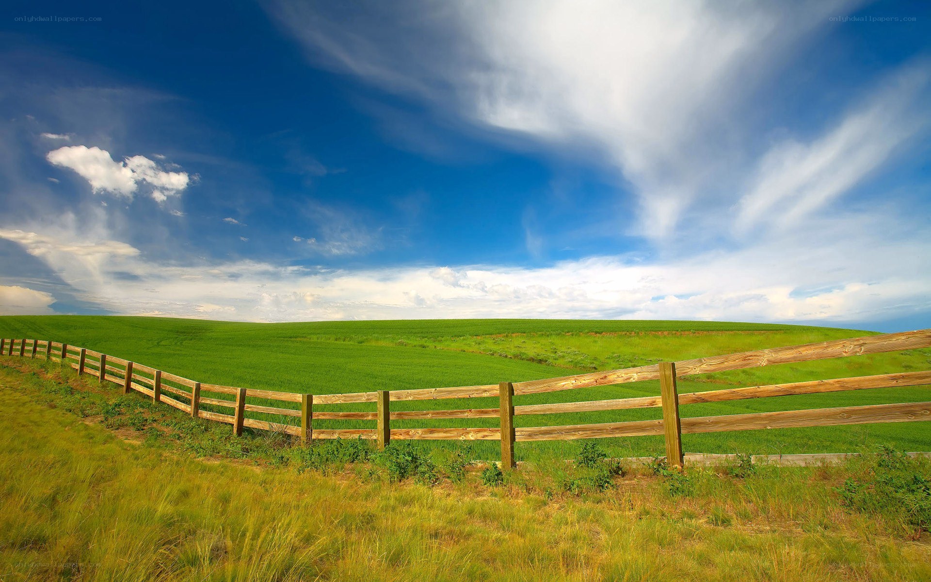 Green Fields and Blue Sky