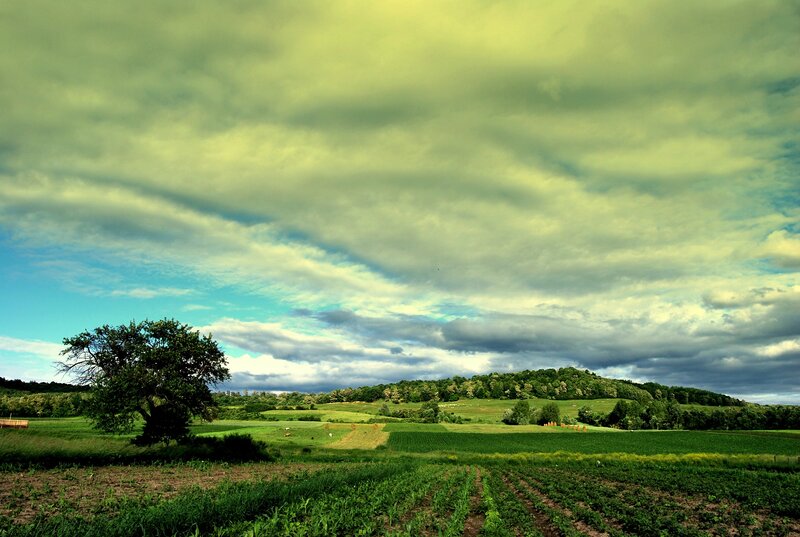 Green Fields and Cloudy Sky — Dramatic, Afternoon, Photograph